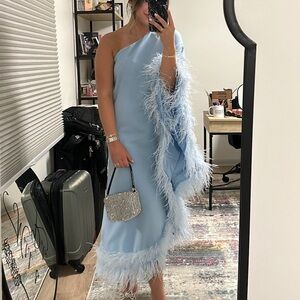 Ceridwen One Shoulder Feather Trimmed Maxi Dress